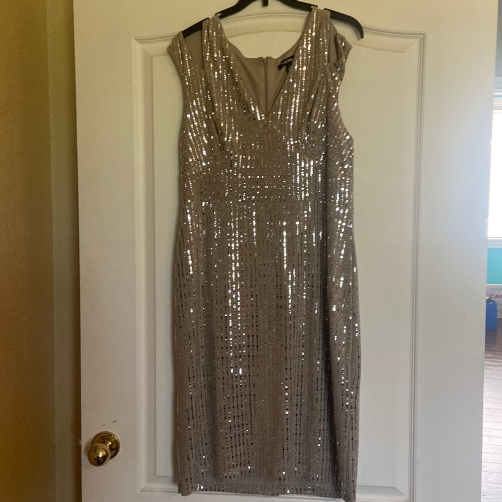 Roz & Ali shimmer dress size 14 only worn once